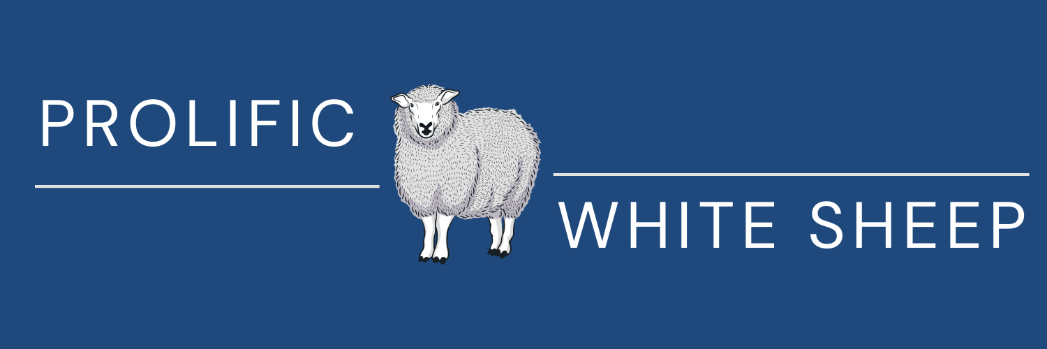 Prolific White Sheep